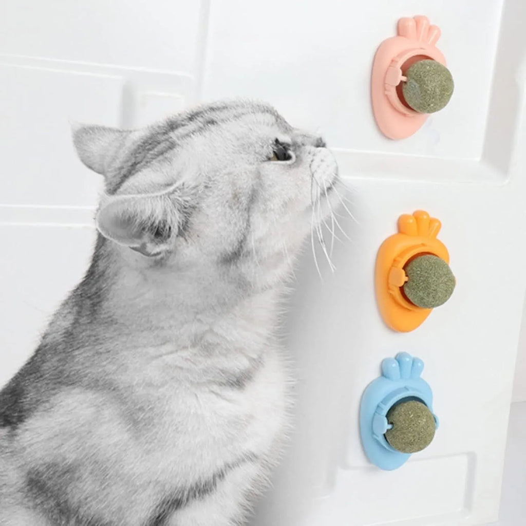Blue carrot-shaped catnip ball with adhesive backing for wall mounting and dental cleaning
