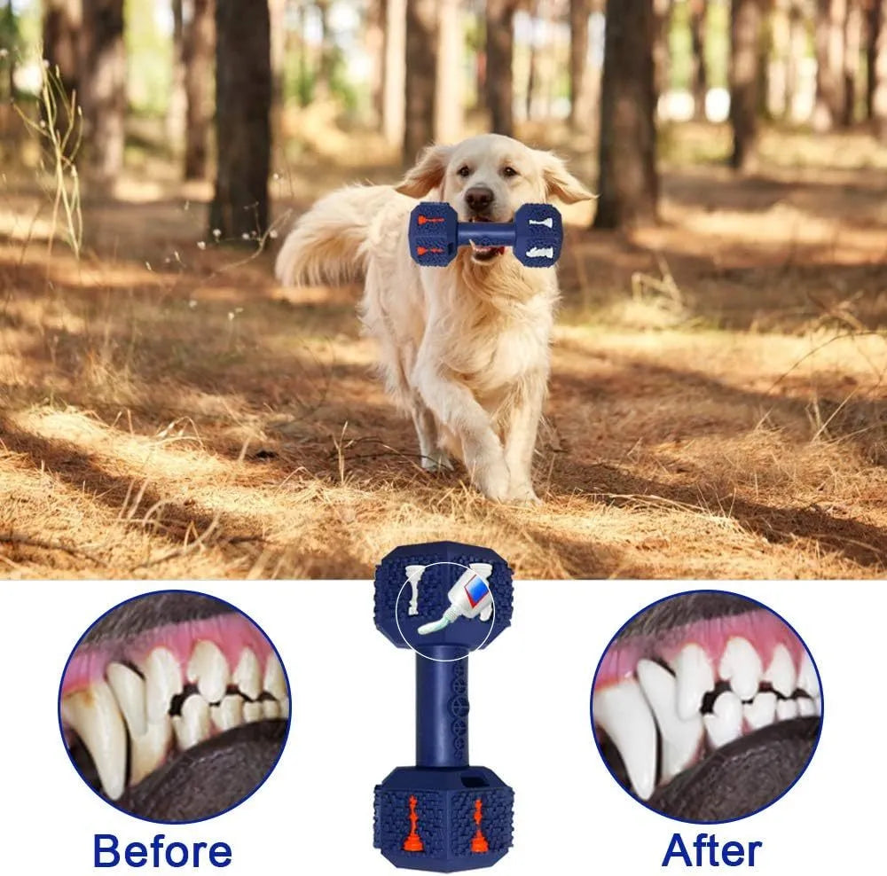 Blue rubber dumbbell dog chew toy with textured surface and hollow ends for treats.