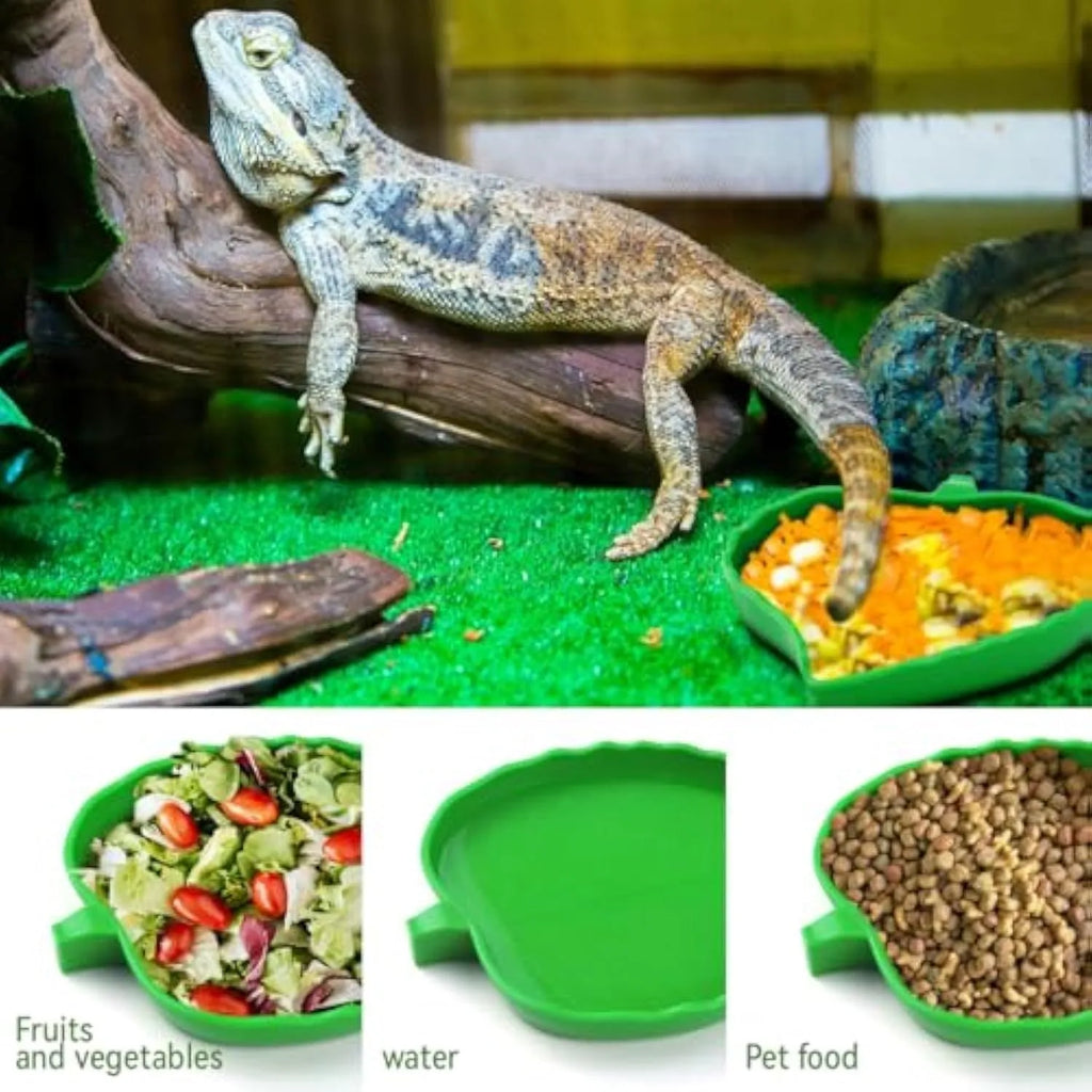 Two leaf-shaped reptile food and water bowls in green, large and small, on a white background.
