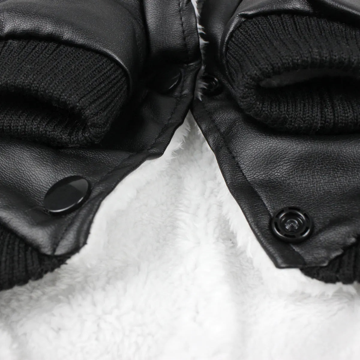 Leather British style dog collar coat in black colour shown on medium-sized dog