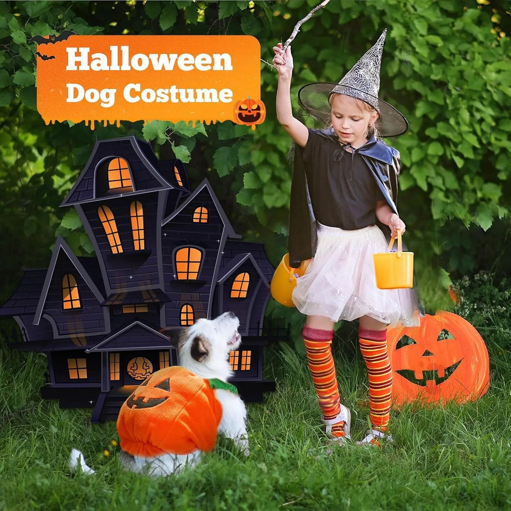 Orange pumpkin plush Halloween costume on small dog with pullover design and soft materials