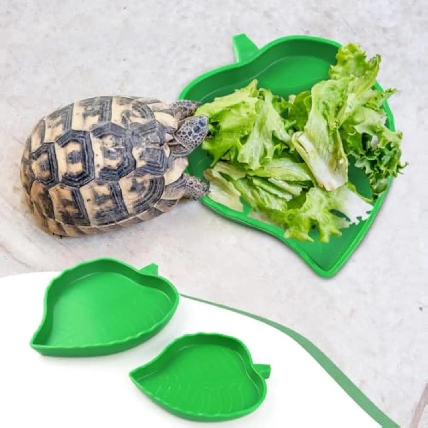 Two leaf-shaped reptile food and water bowls in green, large and small, on a white background.