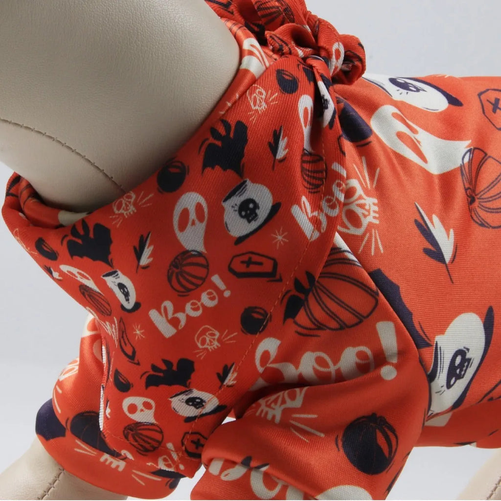 Fleece-lined dog jumper with matching triangular scarf in various colours and sizes