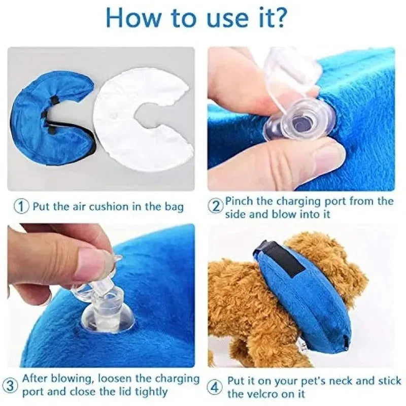 Blue inflatable dog recovery collar fastened around a dog's neck showing soft cone alternative