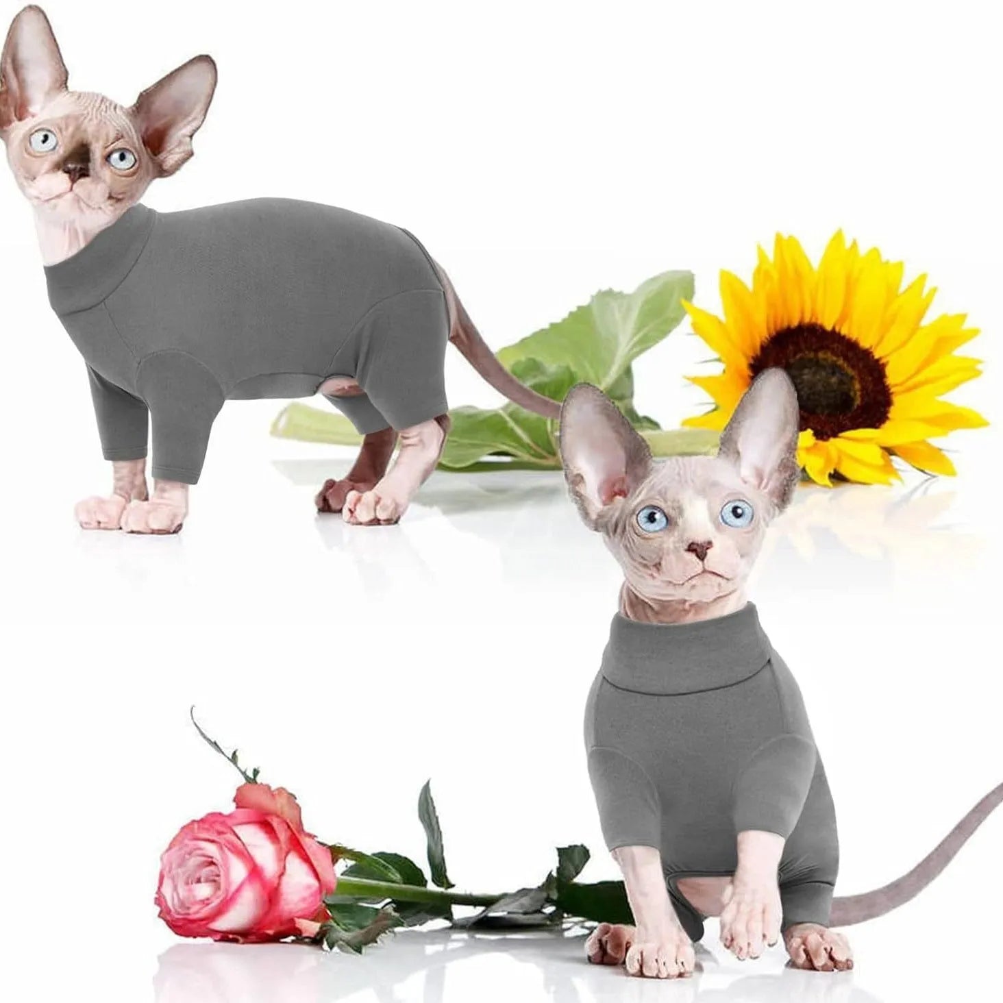 Grey sphynx cat wearing soft turtleneck winter sweater with two leg openings and semi-turtleneck design
