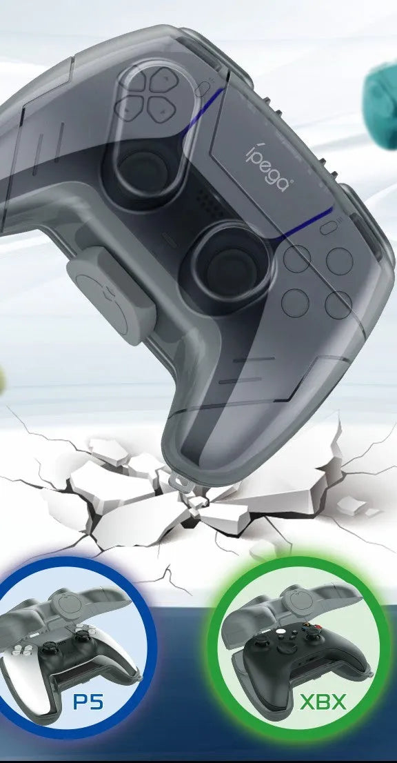 Grey transparent plastic hard storage case for game controllers.