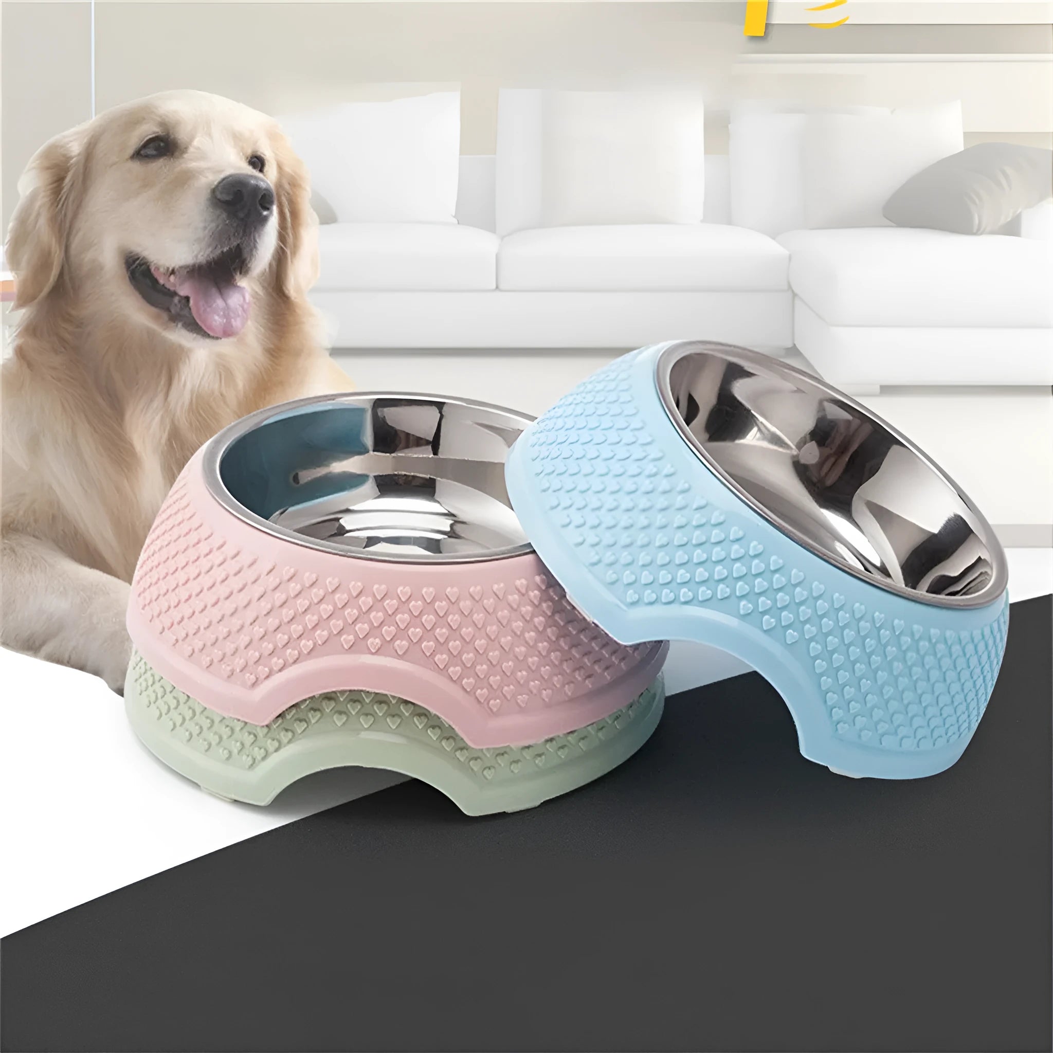 Set of four stainless steel pet bowls in blue, green, and pink colours on a non-slip base