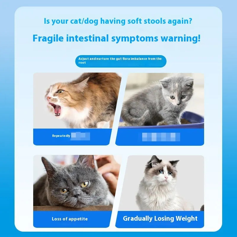Bottle of pet active probiotic tablets containing 180 count for cats and dogs.