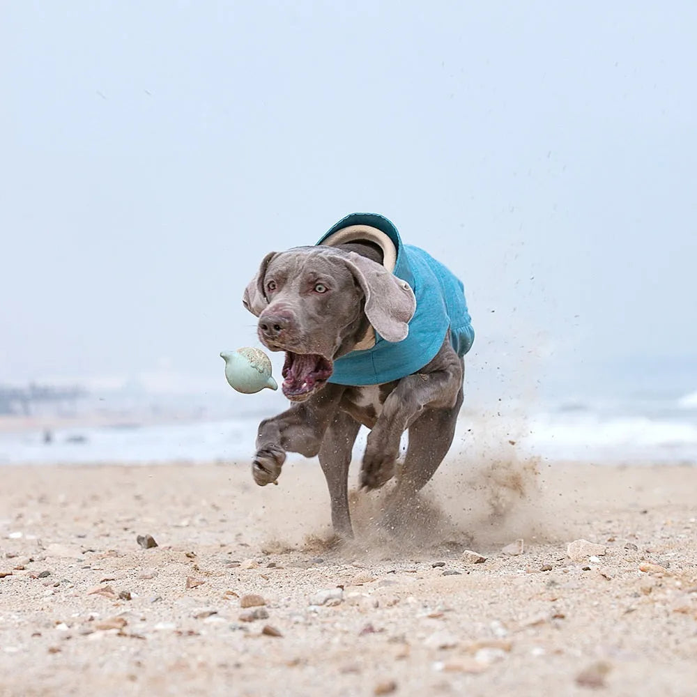 Cold-proof grey polyester dog vest for medium large breed on mannequin