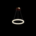 Crystal chandelier with ring lamp design and LED light luxury style on ceiling