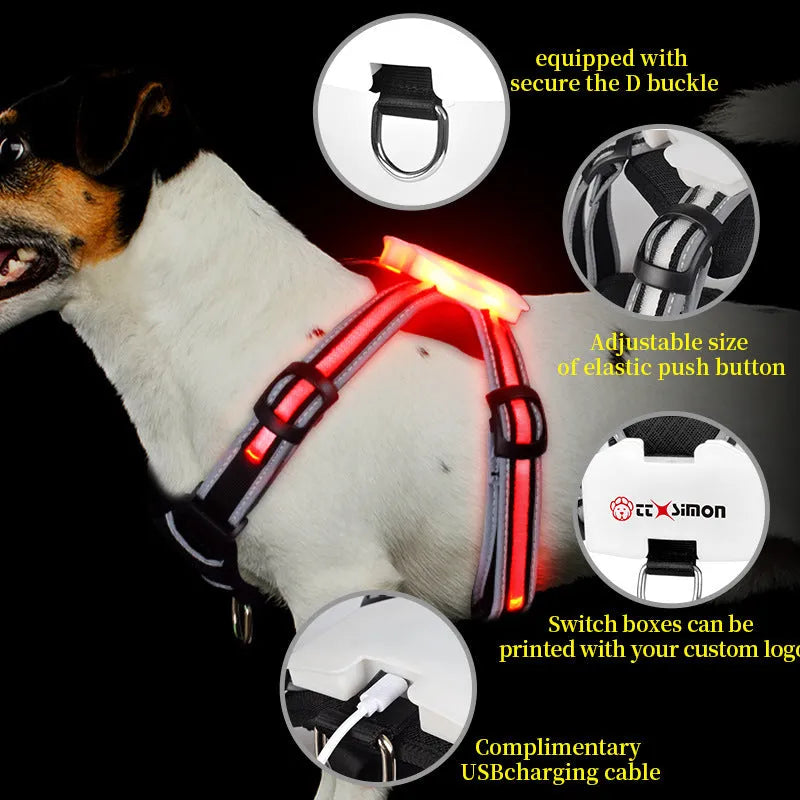 Luminous dog lead with USB charging cable showing seven-colour transformation on nylon strap
