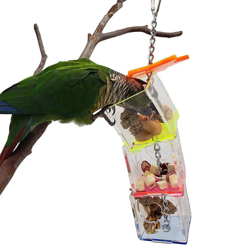 Clear acrylic parrot foraging toy measuring 5 cm by 5 cm by 32 cm for bird treats
