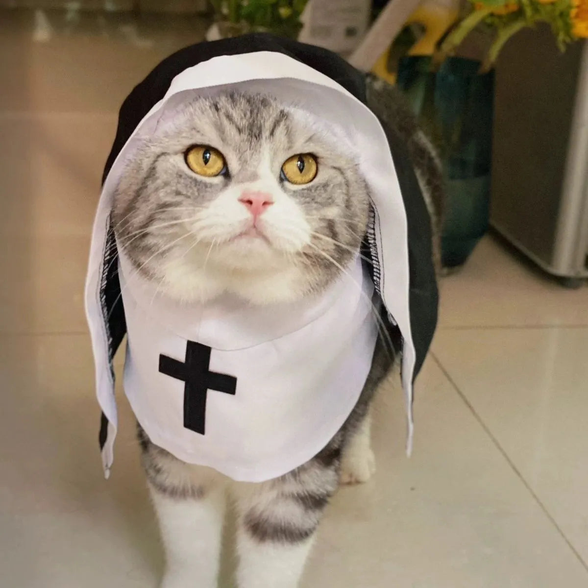 Black and white dog nun costume with cloak for Halloween pet parties