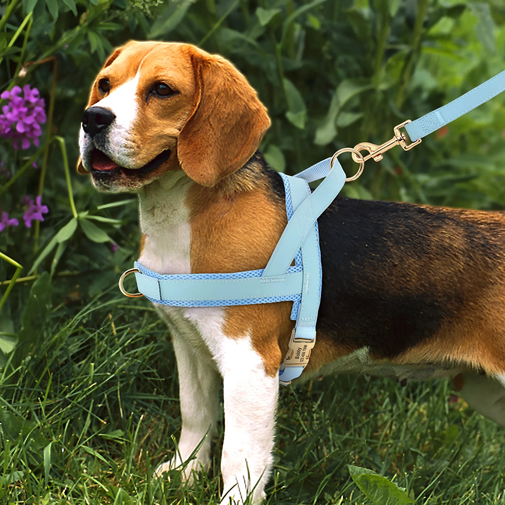 Personalized nylon dog harness leash set with bow tie, adjustable, in blue coffee grey red, sizes XS to L