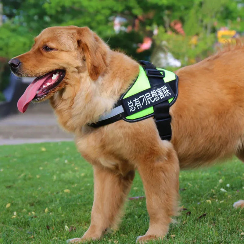 Nylon pet chest harness and leash set in red with adjustable chest strap and towing rope for dog walks