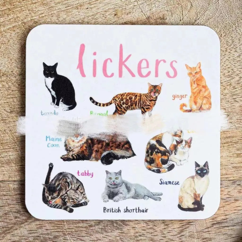 Set of six square PVC bird pun coasters with different bird chart designs on a table