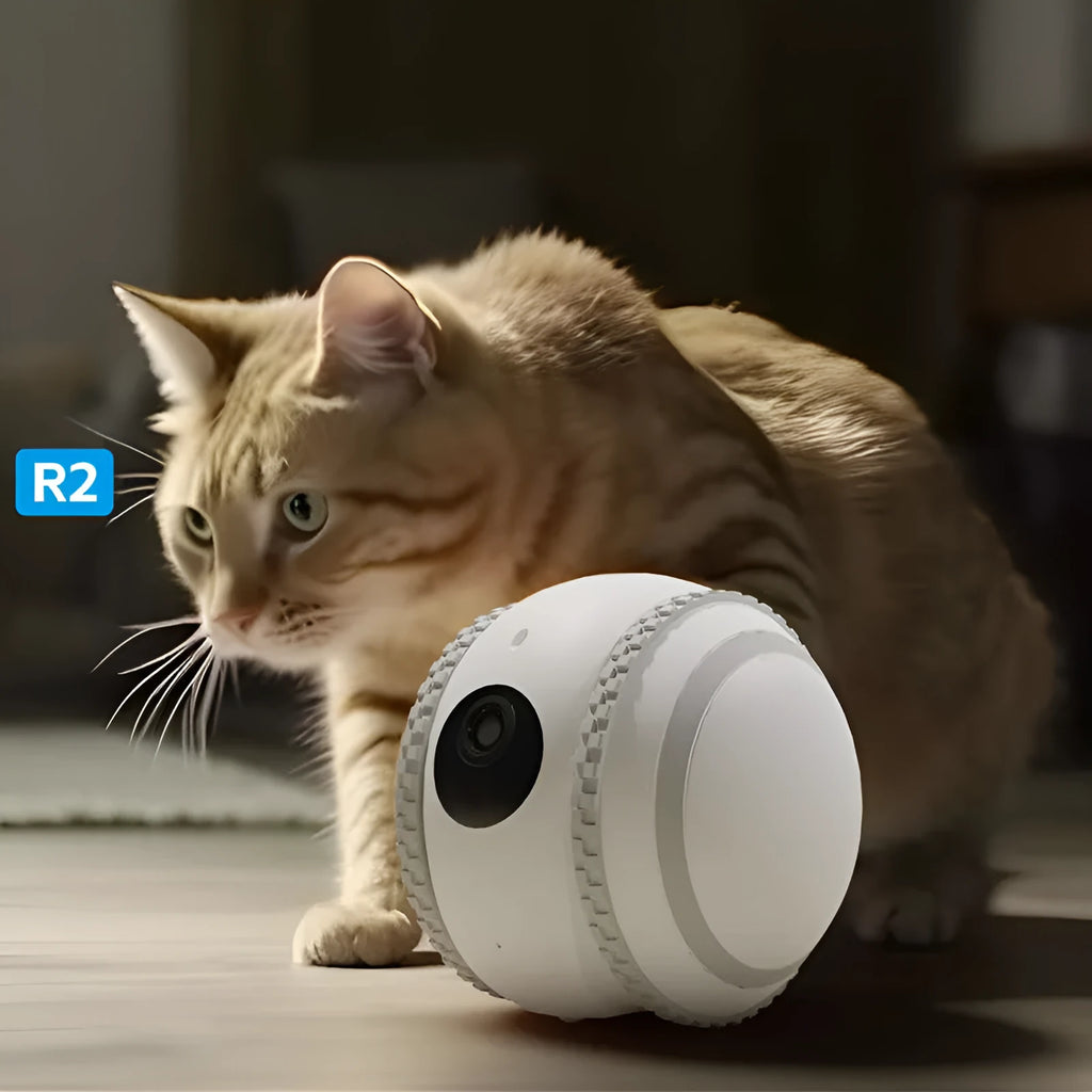 White plastic pet companion robot cat with automatic recharge function and USB cable