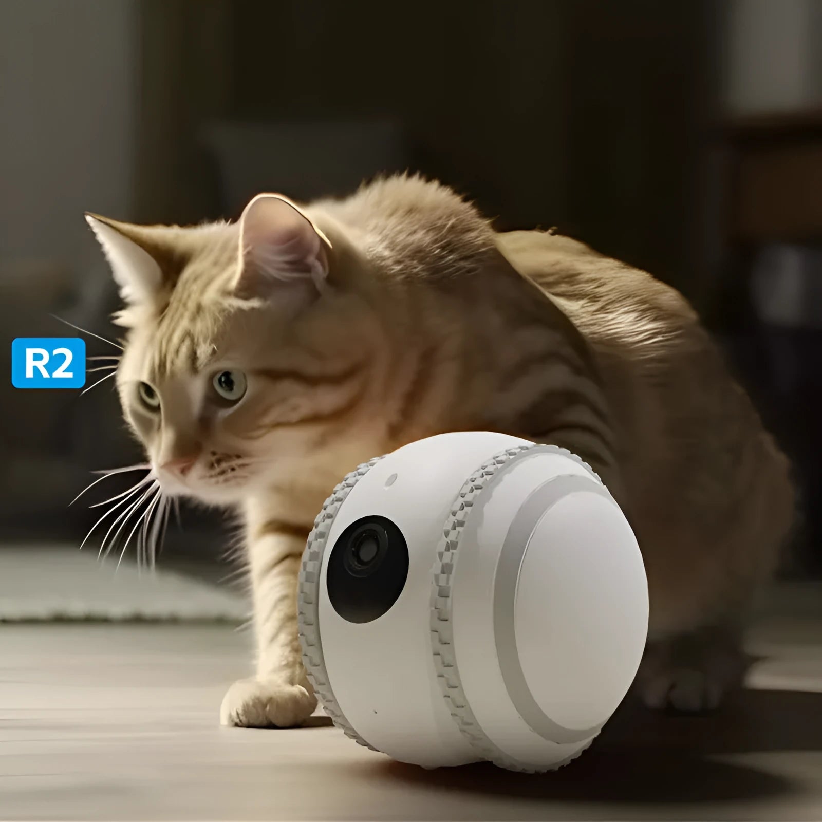 White plastic pet companion robot cat with automatic recharge function and USB cable