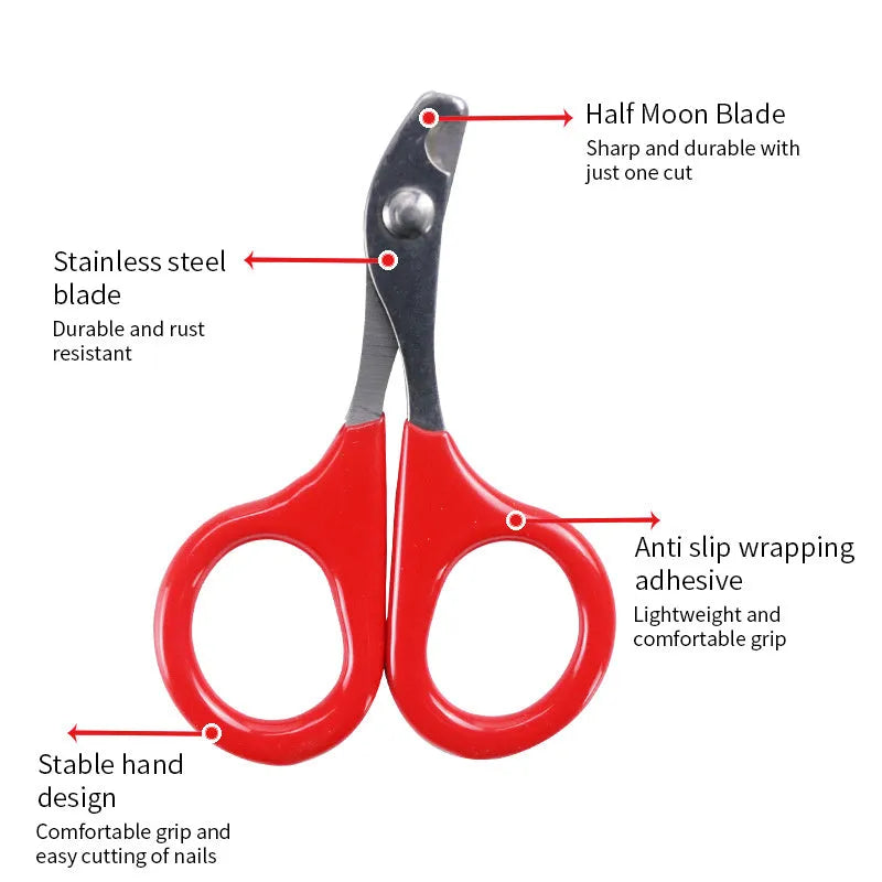 Close-up of pet nail clippers with stainless steel blades and a coloured rubberised handle.