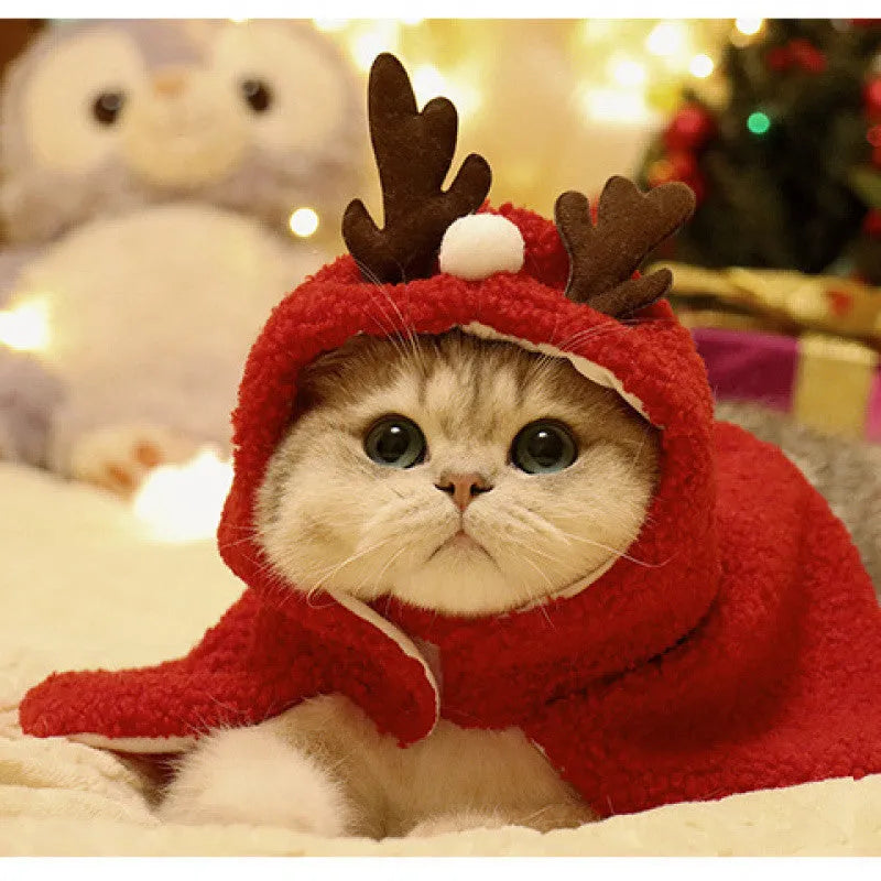 Red polar fleece dog cloak with antlers on the hood for a small dog in winter.