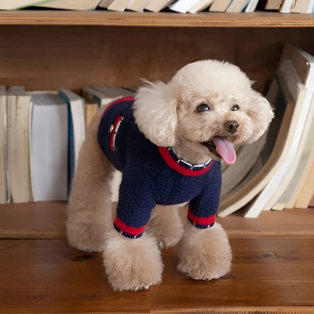 Blue wool pet cardigan with princess styling on dog model showing classic design