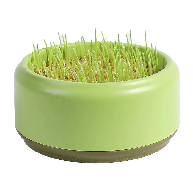 Blue hydroponic cat grass kit with soilless cup and five seed packs for indoor growing.