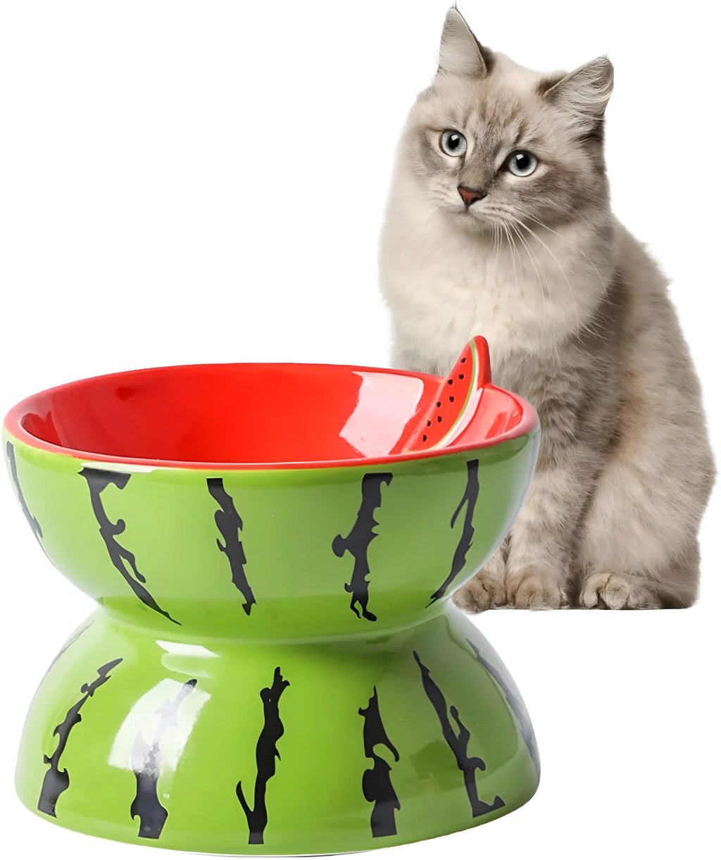 Ceramic raised cat bowl with tilted design in fruit pattern, elevated feeding dish for cats and small dogs