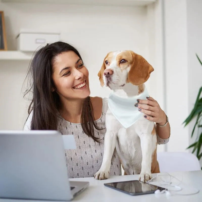 White blank polyester dog scarf for thermal transfer customisation, shown in four sizes.