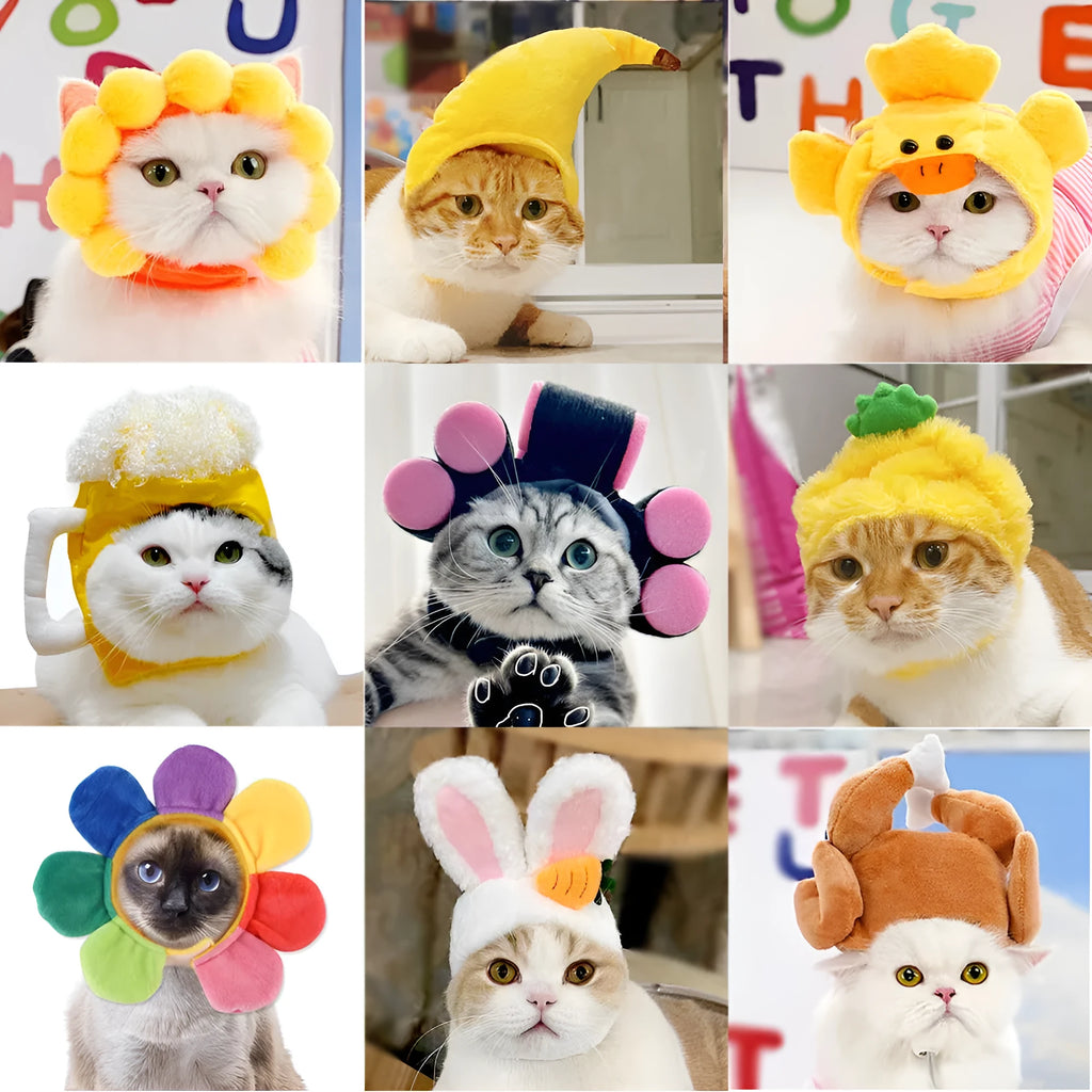 Pet headgear costume accessory with cartoon designs for cats and dogs
