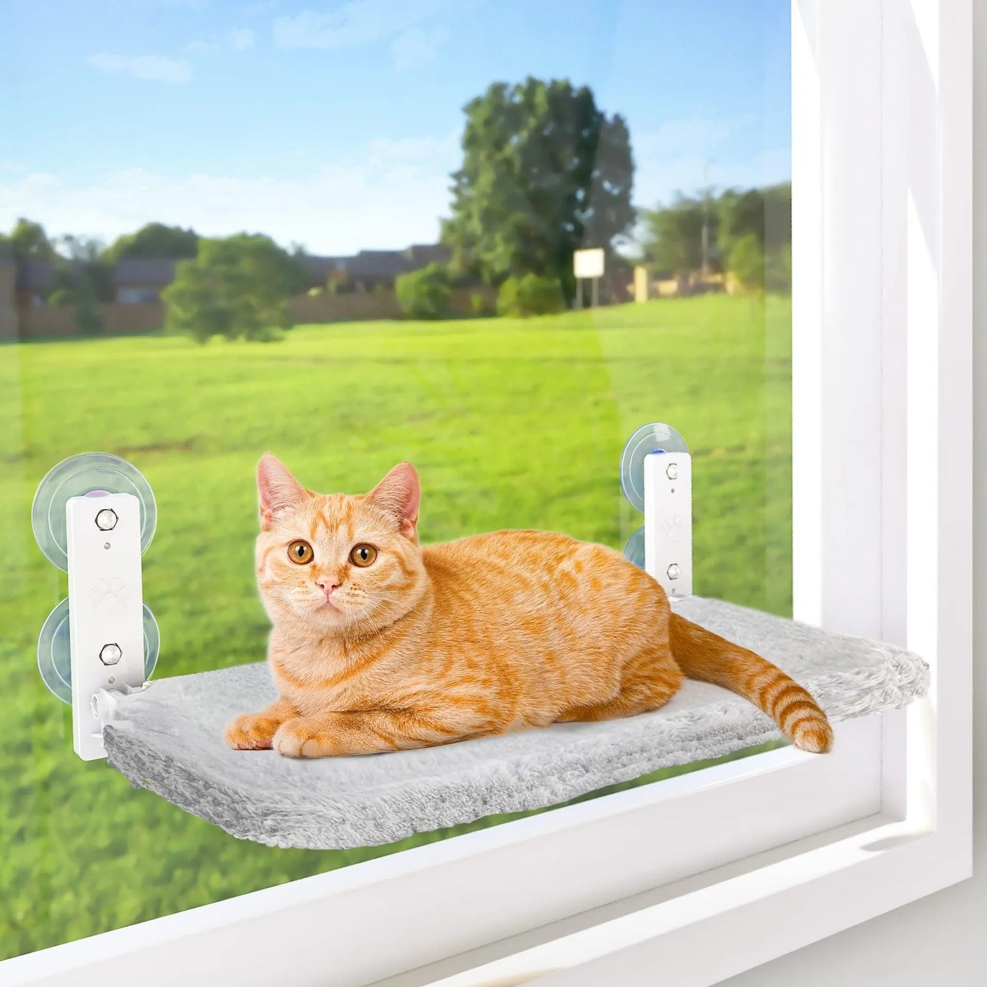 Cordless cat window perch on glass with stainless steel frame and gray plush fabric hammock