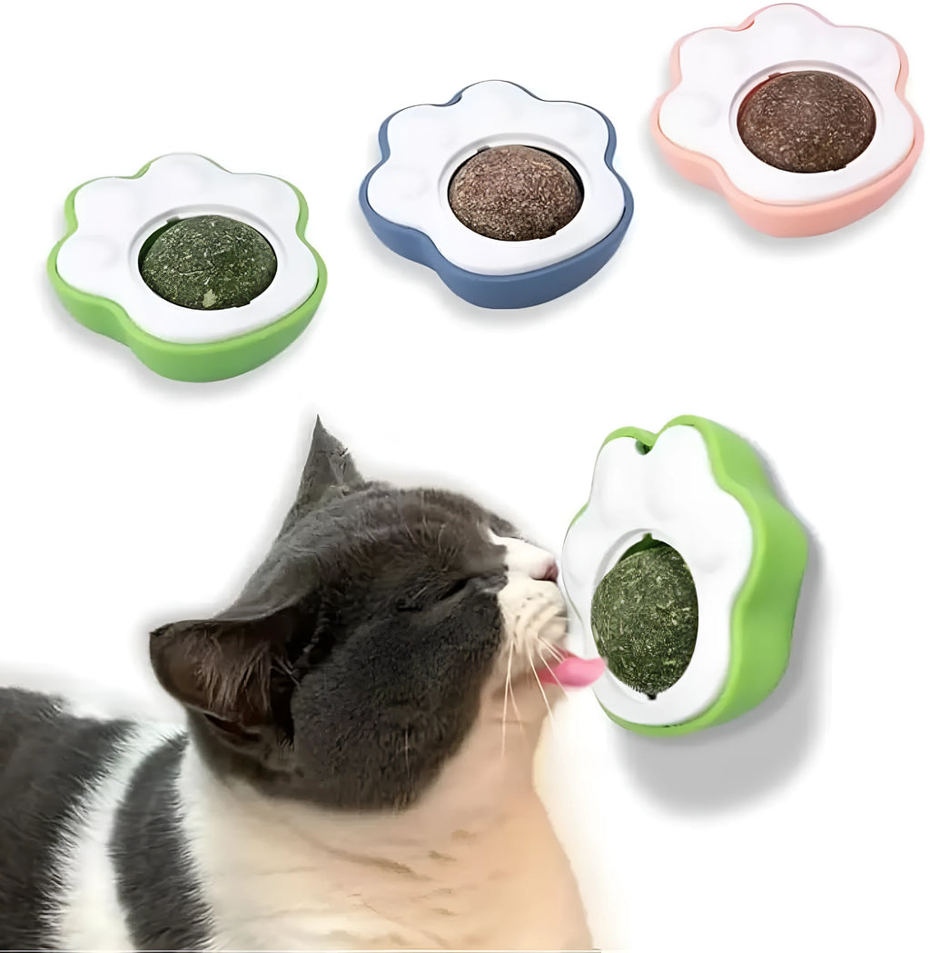 Edible catnip dental balls in blue, green, pink colours for teeth cleaning and play