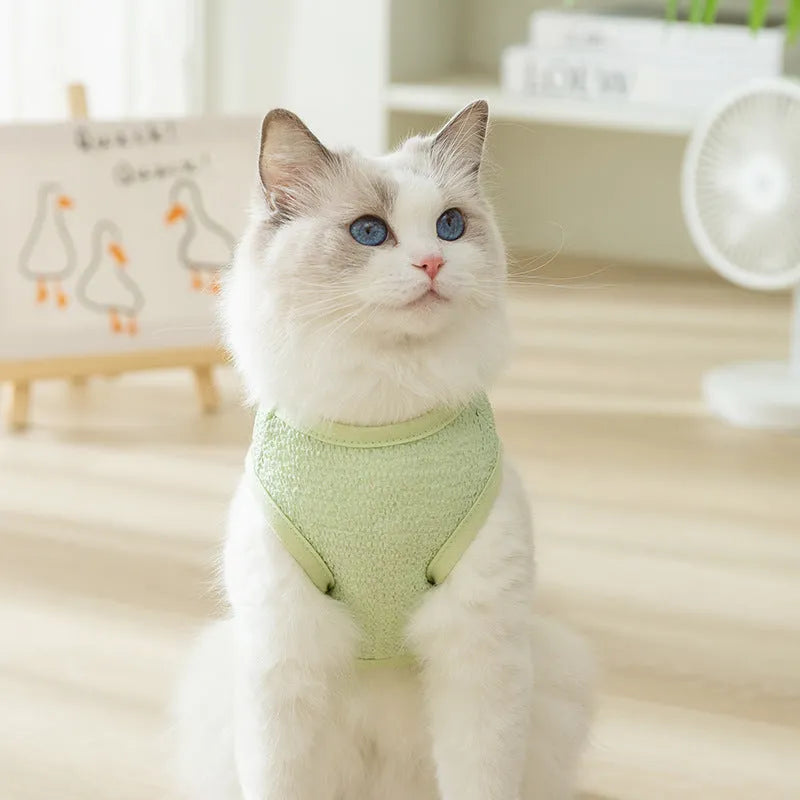 Cat wearing green knitted clothes with hollowed-out bear patch design