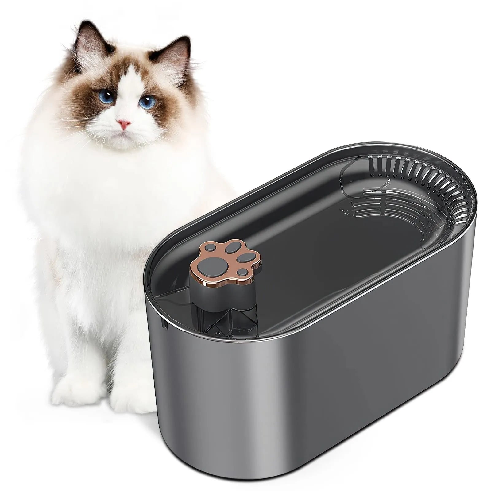 Berlin blue 3L pet water fountain with LED lights and filtration system on wooden floor