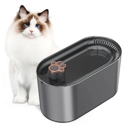 Berlin blue 3L pet water fountain with LED lights and filtration system on wooden floor