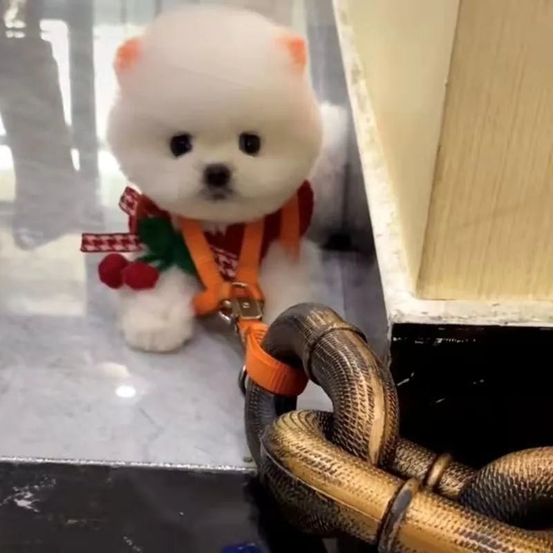 Simulation dog leash prop in bronze colour with rope-style design and chain detailing for video production