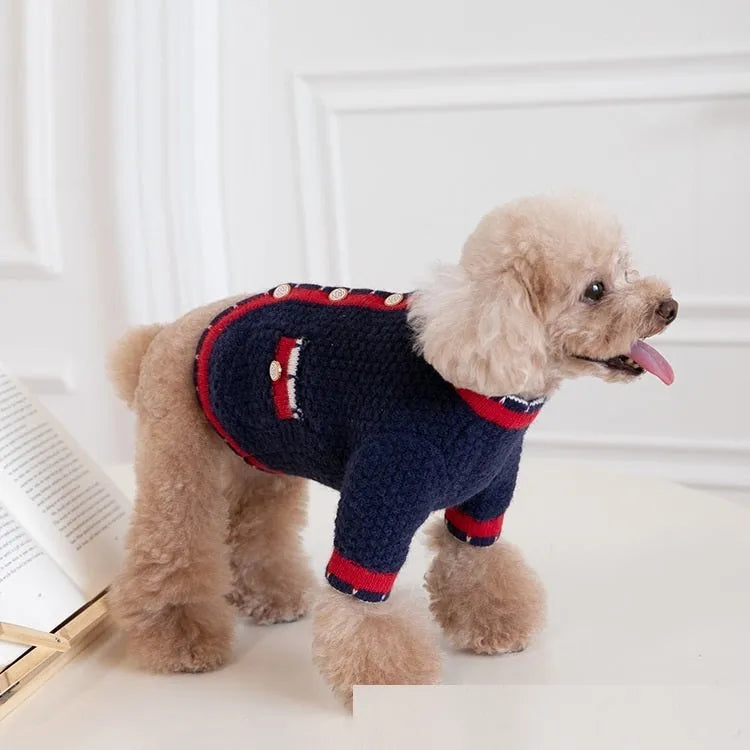 Blue wool pet cardigan with princess styling on dog model showing classic design