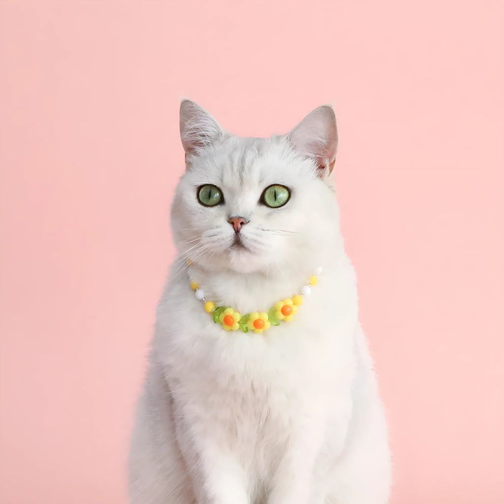 Colourful plastic bead cat necklace showing small flower, rainbow, and peach pattern options with adjustable sizing
