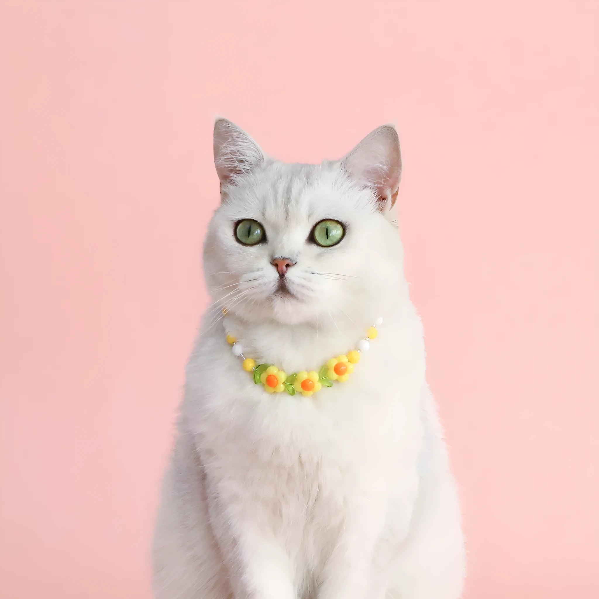 Colourful plastic bead cat necklace showing small flower, rainbow, and peach pattern options with adjustable sizing