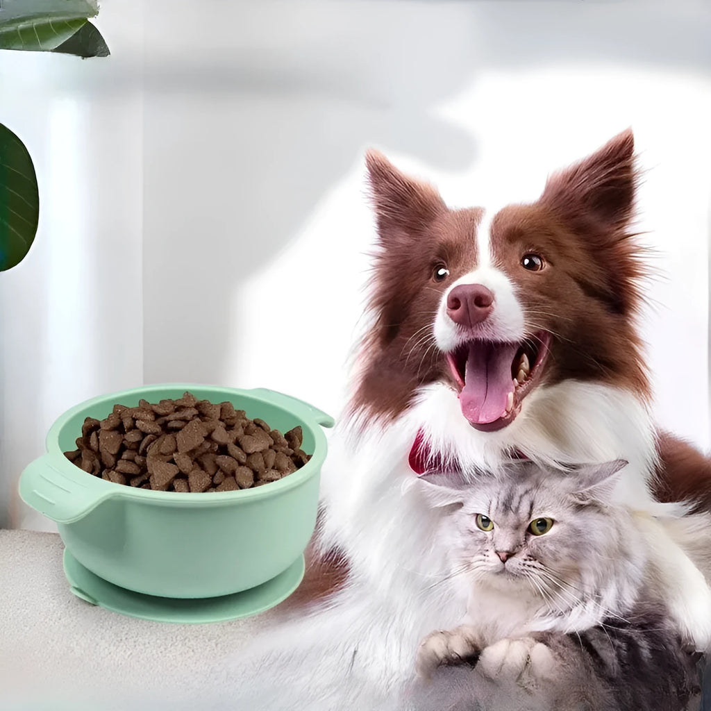 Silicone pet bowl with suction cups on base in blue colour for dogs and cats