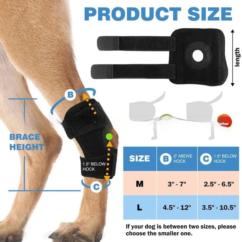 Black polyester dog joint support brace for ACL rehabilitation and joint dislocation protection
