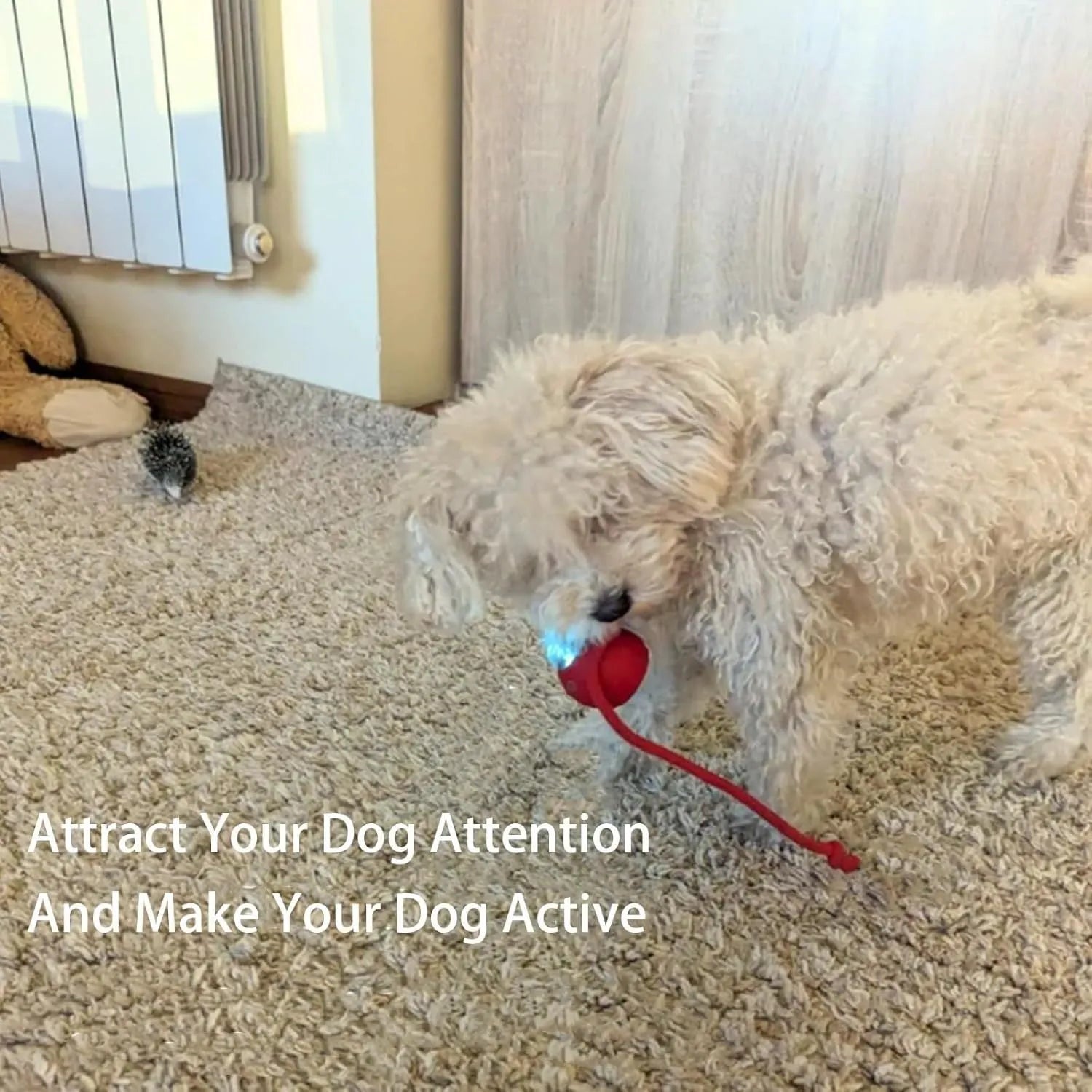 Grey automatic rolling ball toy for dogs and cats with attached rope, showing 6.5cm diameter