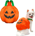 Orange pumpkin plush Halloween costume on small dog with pullover design and soft materials