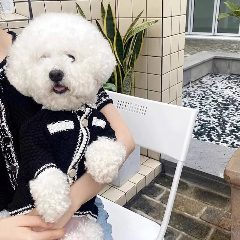 Korean style white dog sweater with pearl collar on small breed dog