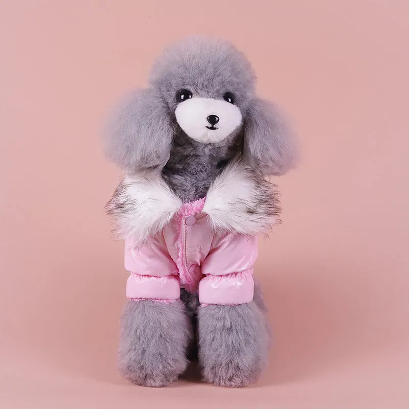 Blue British style cotton dog jacket showing traditional design for autumn and winter wear