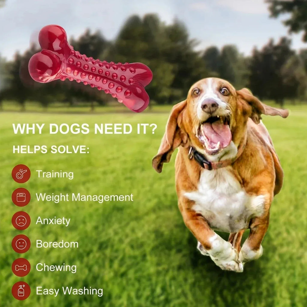 Red natural rubber chew toy for aggressive dogs and heavy chewers
