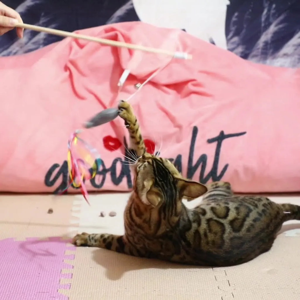 Cat wand toy with wooden handle, elastic rope, catnip fish, colourful ribbons, and bell