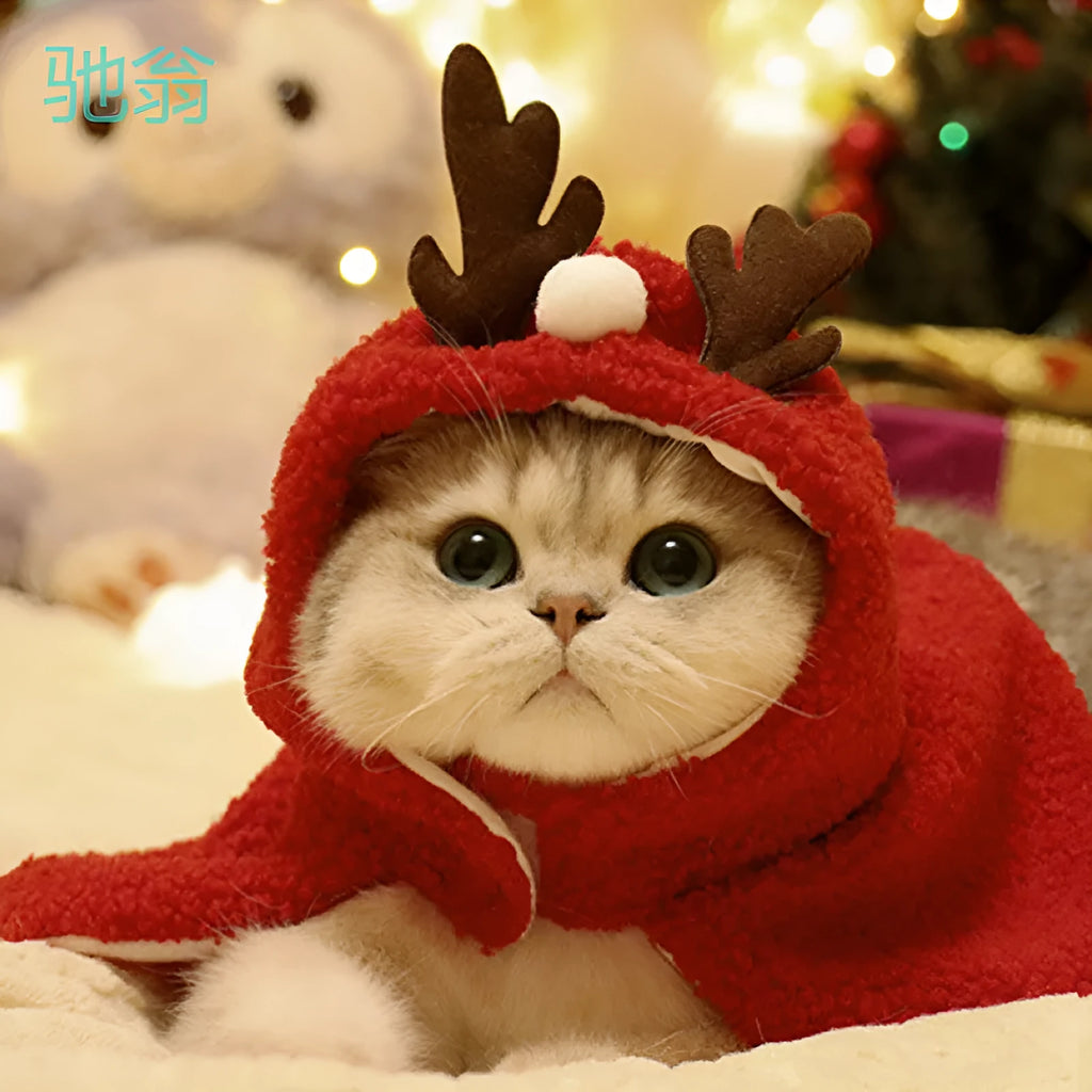 Red polar fleece dog cloak with antlers on the hood for a small dog in winter.