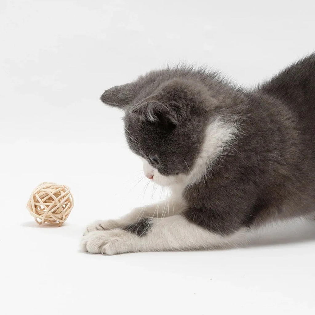 Two cat toys: hollow rattan ball and faux feather ball with bell for interactive kitten play