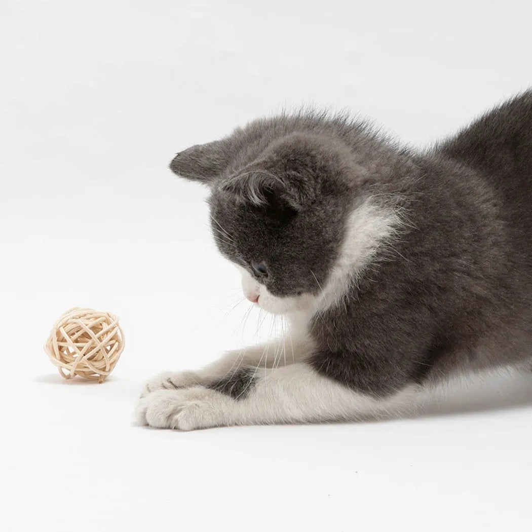 Two cat toys: hollow rattan ball and faux feather ball with bell for interactive kitten play