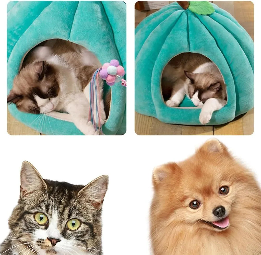 Grey pumpkin-shaped cat cave bed with plush fabric, shown with a small cat inside.
